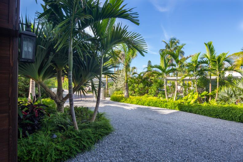 Driveway and Tropical Garden