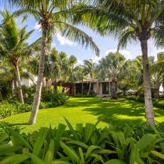 Tropical Backyard and Lawn