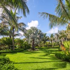 Lawn and Tropical Gardens