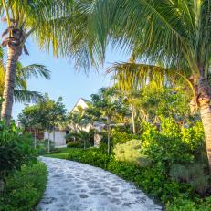 Stone Path and Palm Trees