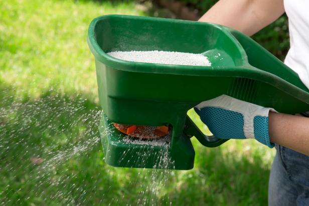 Learn How To Fertilize A Lawn Hgtv