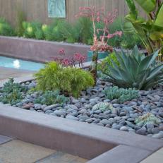 Lush Succulent Garden With Water Feature