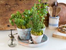 Fresh herbs will take your culinary skills to the next level — and add a beautiful pop of live greenery to your kitchen. Follow our steps to create a rustic countertop garden by giving terra cotta pots a charming, timeworn patina.