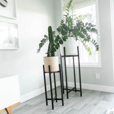 Plants and Black and White Planters