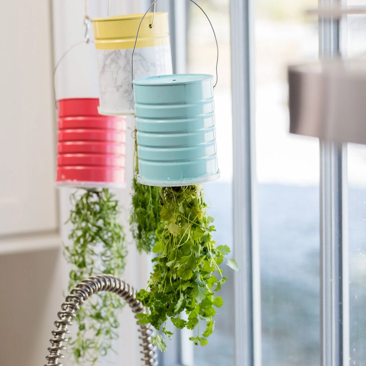 DIY Upcycled Hanging Herb Garden | HGTV