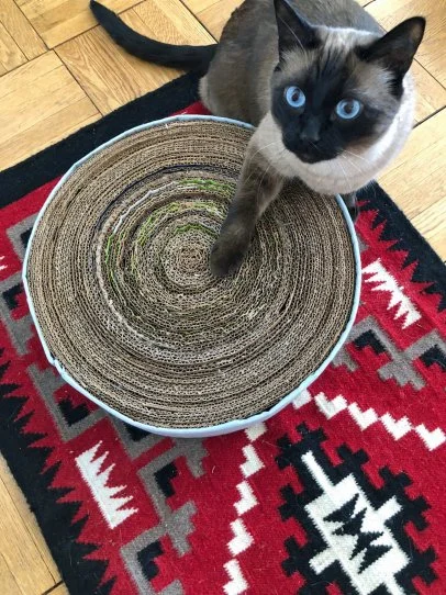 How to Make an Upcycled Cat Scratching Pad HGTV