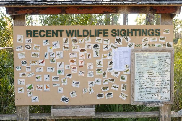 Many nature centers use this style of sign for nature sightings in their preserves. Displayed where visitors may interact, it is a good way to help people feel empowered and at ease in identifying flora and fauna. Nature apps are a modern way of doing the same thing but on a much larger scale.