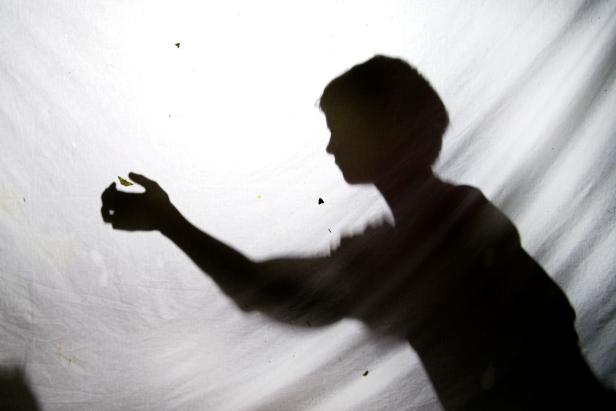 A child's silhouette is inadvertently projected onto a white sheet during a mothing event. To attract moths and record the number of species, scientists and moth enthusiasts hang white sheets and bright lights. 
