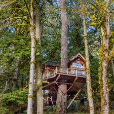 Elaborate Treehouse in Washington State