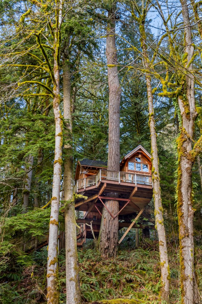 Brown Rustic Treehouse