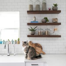 White Kitchen With Cat