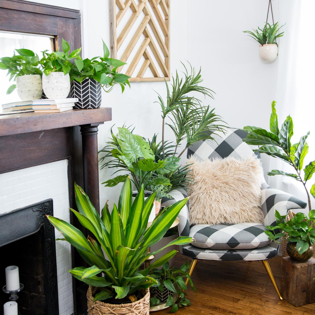 How To Make Faux Plants Look Real Hgtv