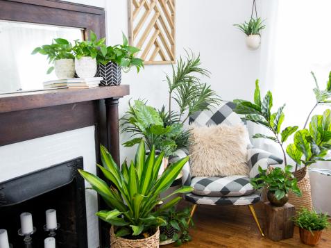 Faux Real Tips + Tricks for Styling Your Fake Plants
