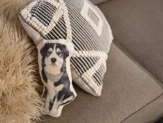 Pet Pillow DIY