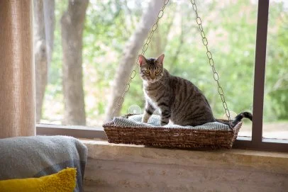 Diy cat window hammock store