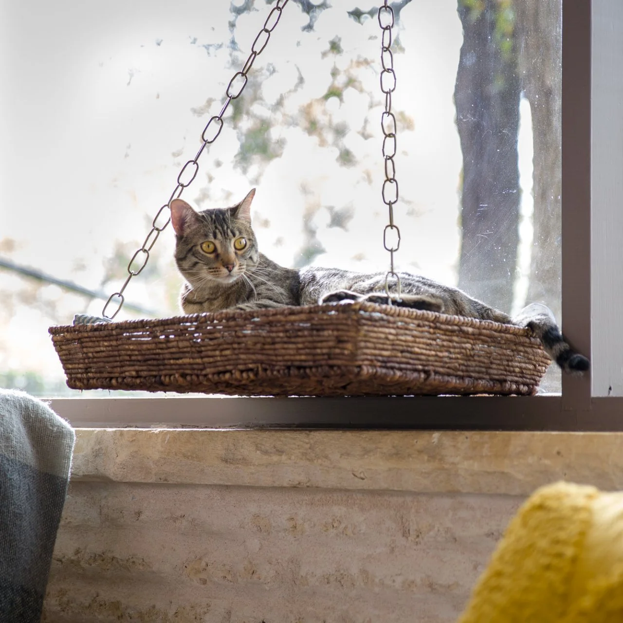 DIY Window Seat Basket for Cat HGTV