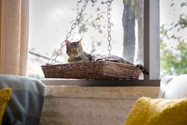 Diy Window Seat Basket For Cat - Diy Pvc Cat Window Perch