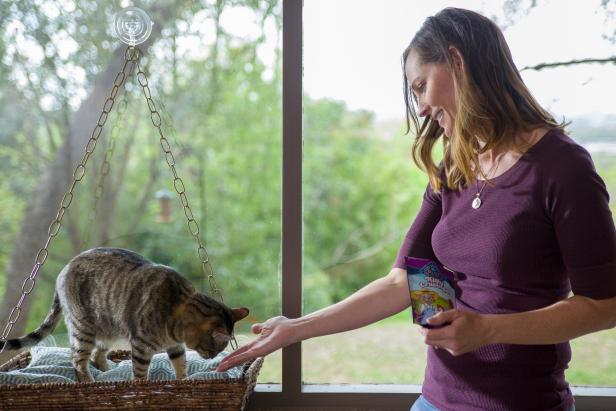 Using Blue Buffalo treats, the pet owner introduces the cat to its new cat perch. The perch hangs from the window by a suction cup, allowing the cat full views of the outside of the home.