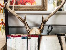 Books and Antlers Arranged on a Tabletop
