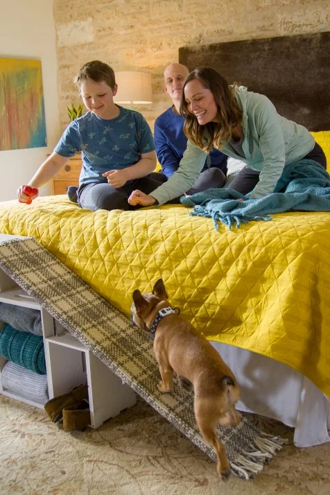 Diy dog ramp for bed with storage deals
