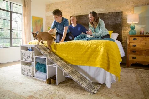 Pet ramp diy outlet