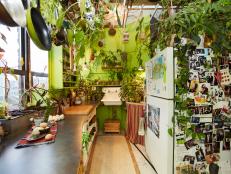Summer Rayne's Kitchen Is Filled to the Brim With Vibrant Plant Life