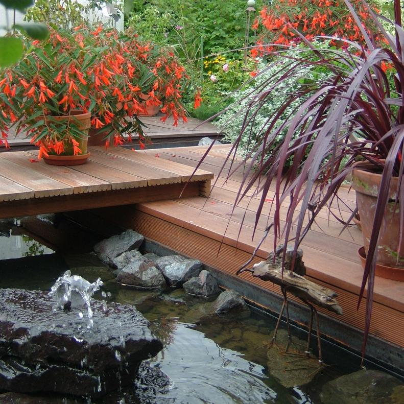 Container Gardens With Water Garden 