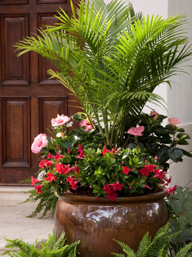 The Best Flowers For Pots In Full Sun, Large Flower Pots For Outdoors