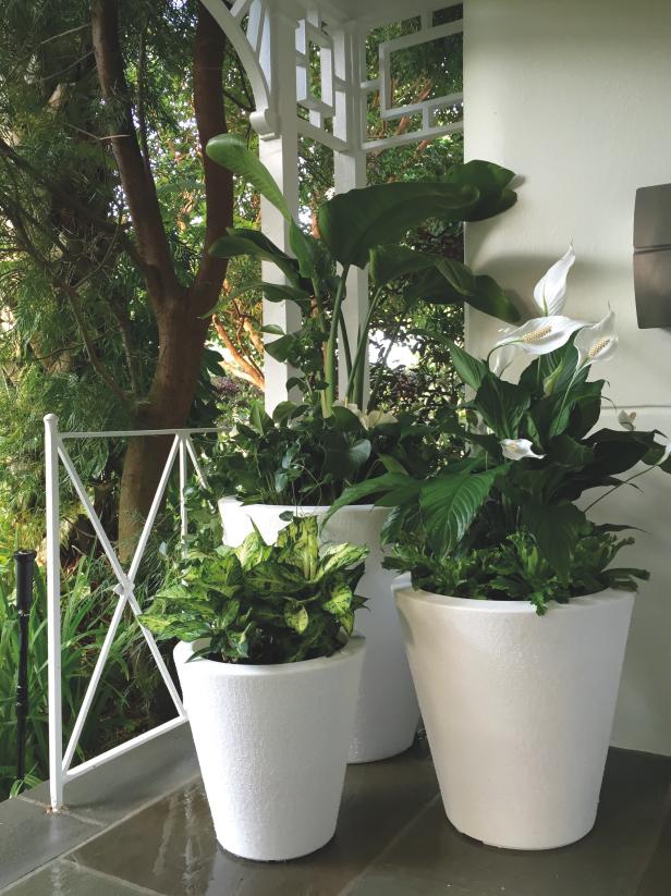 Self-Watering Containers