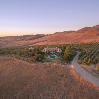 Santa Ynez Valley Estate Features Olive Trees