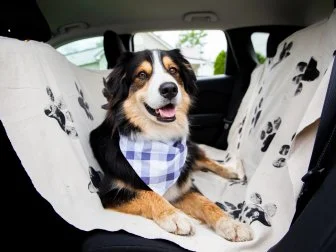 Dog Car Seat Cover With Paw Prints and Dog On It