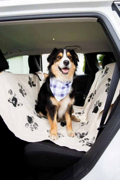 Diy dog hammock for car best sale