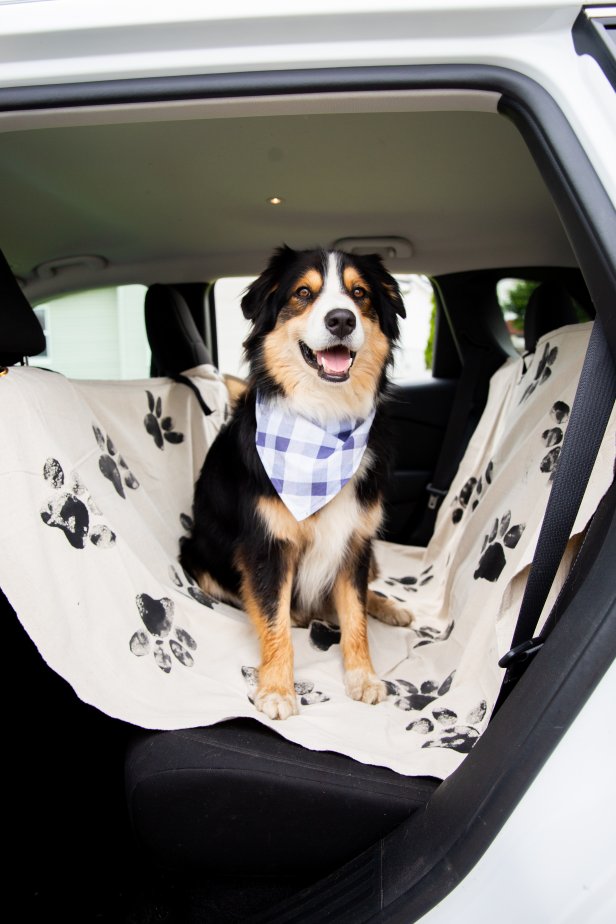 Car Seat Protector Covers Seats and Protects Them From Dog