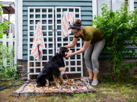 How to Build a Fur-tastic Dog Washing Station