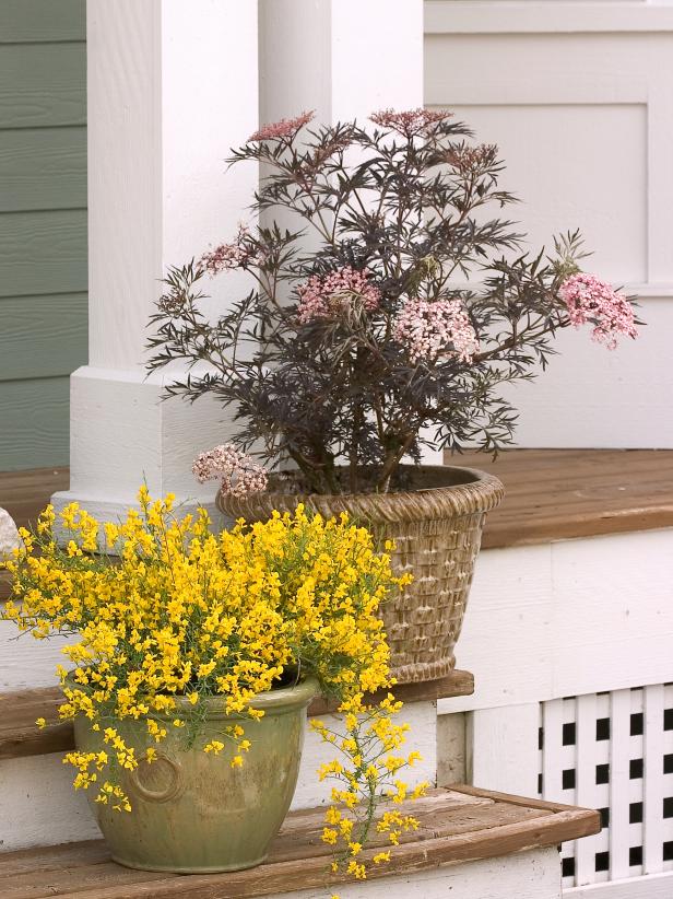 low-maintenance front yard landscaping ideas