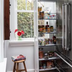 Pull-Out Pantry and Refrigerator