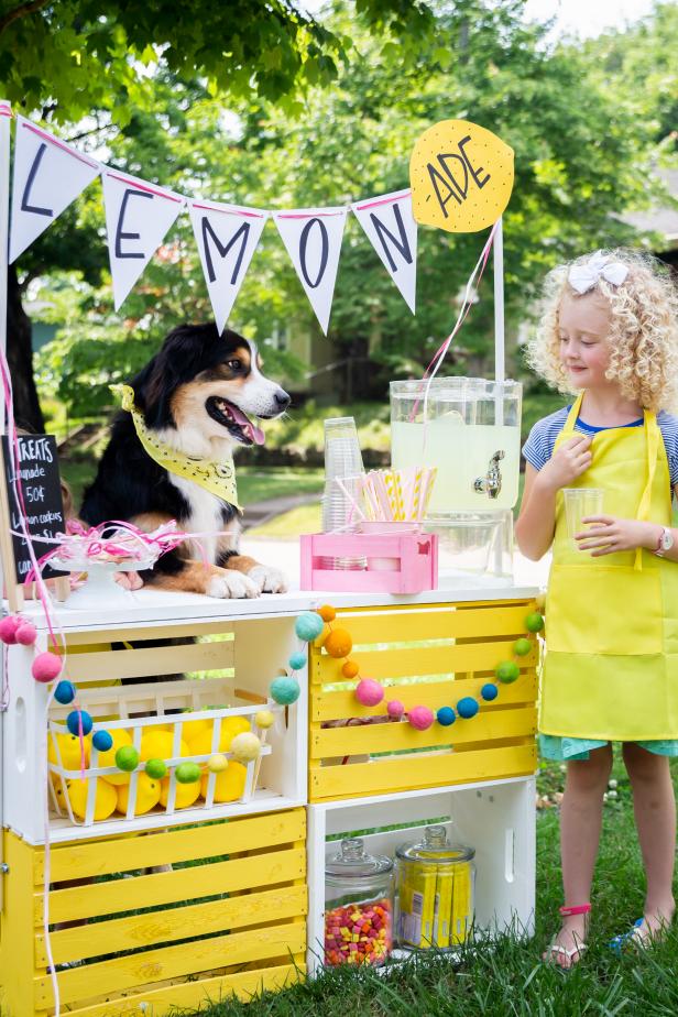 Kids DIY Lemonade Stand
