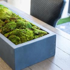 Contemporary Neutral Dining Room with Moss Container Garden 