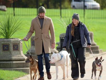 good bones for puppies