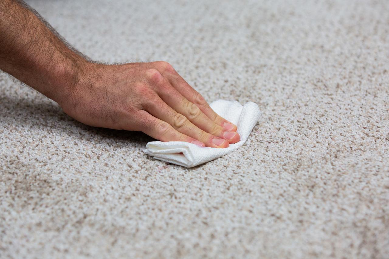 How to Remove Coffee Stains From Carpet  HGTV