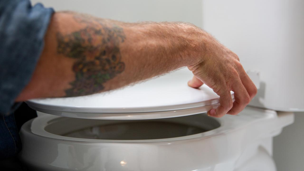 How to Remove or Replace a Toilet Seat