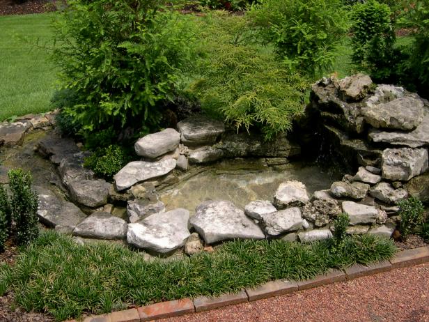 How to Use Water Features to Attract Birds to Your Yard | HGTV