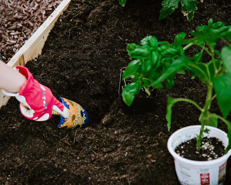 WTG1200 Plant A Vegetable Garden