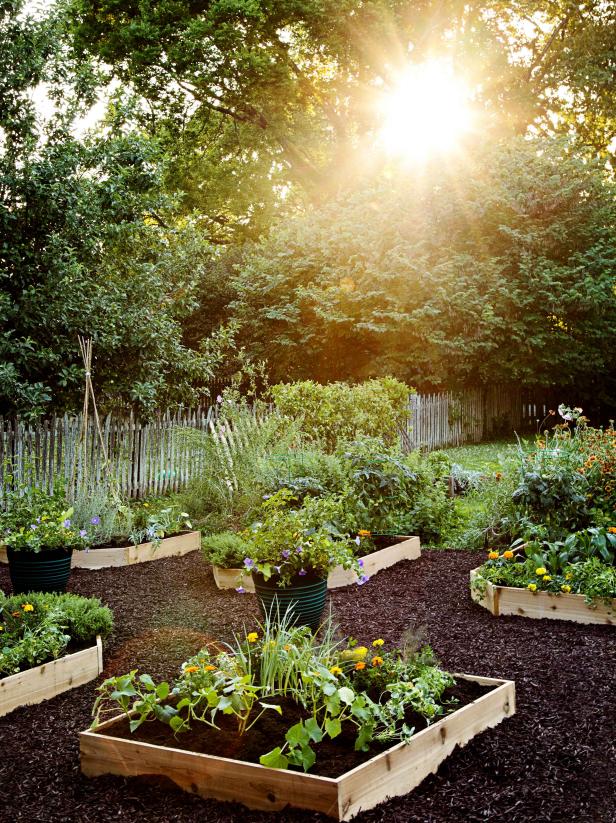 Say Hello to Raised Beds