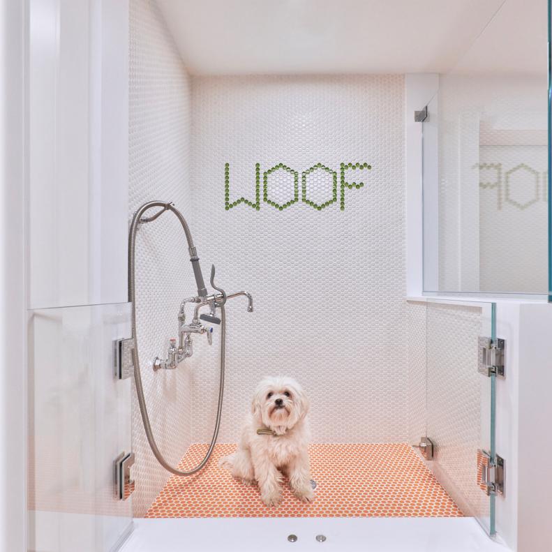 Modern Dog Bath