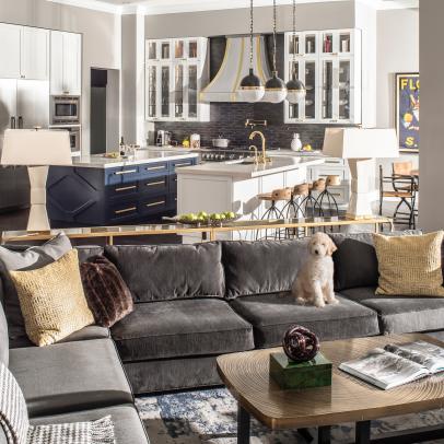 Gray Transitional Living Area With Dog