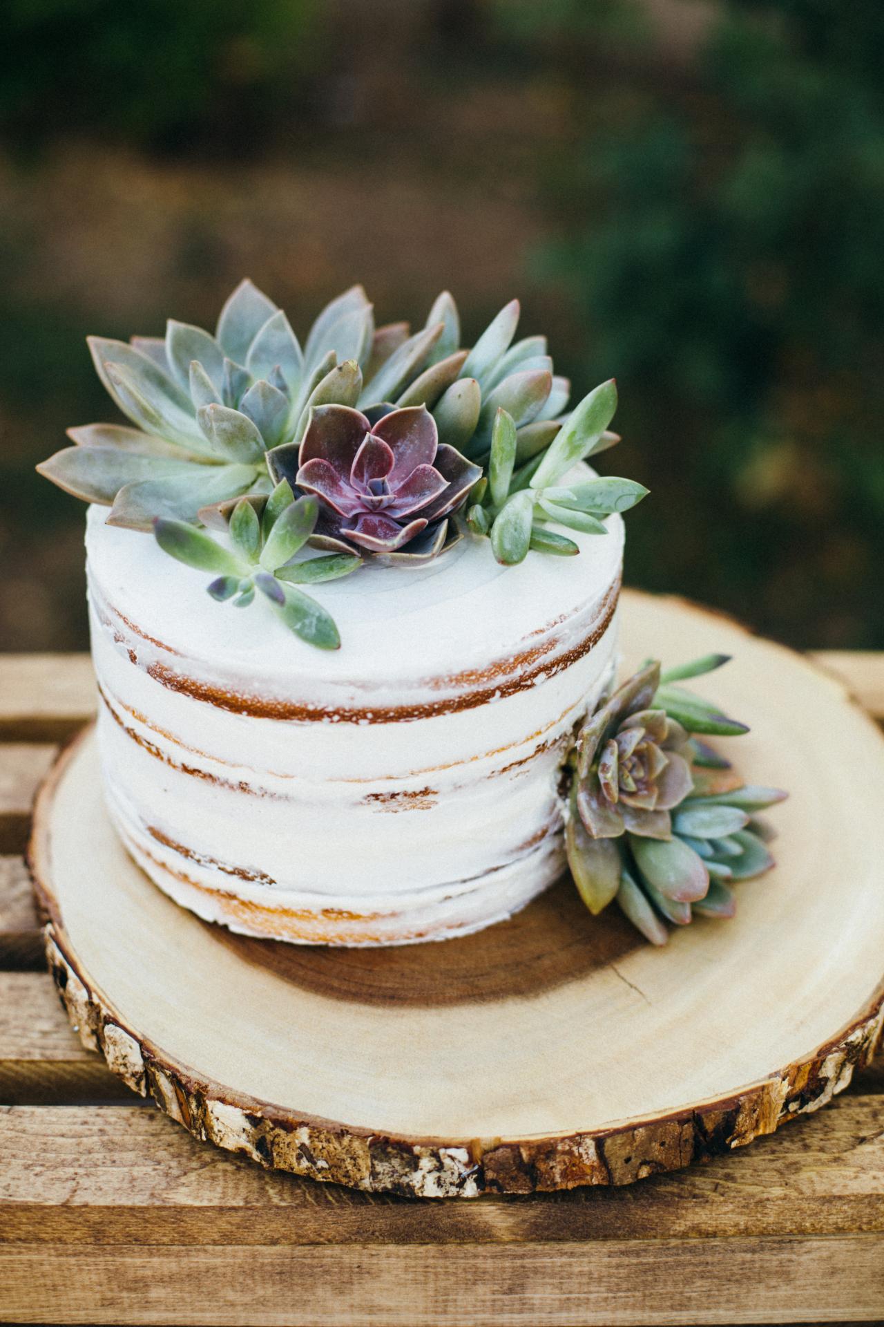 5 Stunning Buttercream Succulent Desserts! | Our Baking Blog: Cake, Cookie  & Dessert Recipes by Wilton