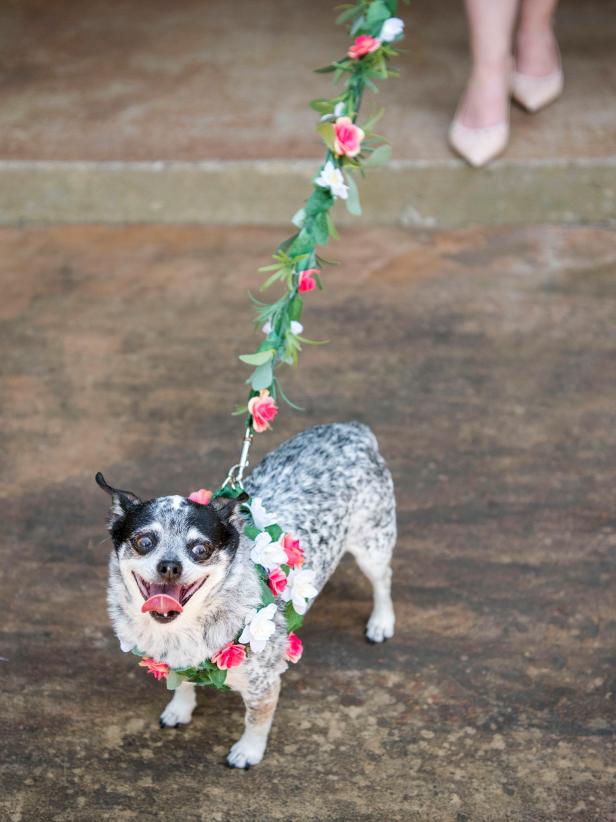 Dog with flower-covered harness