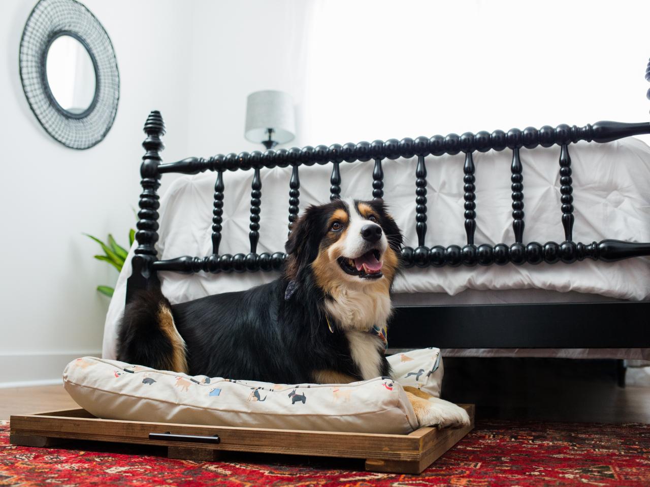 Built in dog bed hotsell under bed