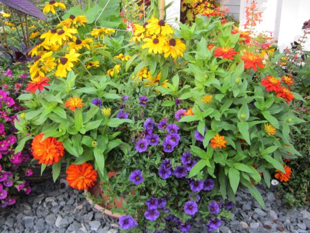 How To Plant Flowers In Large Planters